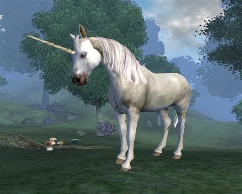 unicorn wiki